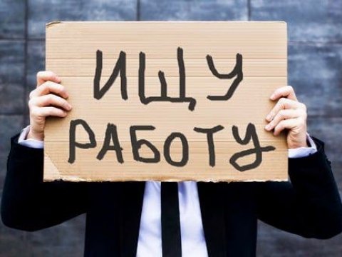 Cлужбы занятости в Саратовской области научат «действительно помогать в поиске работы»