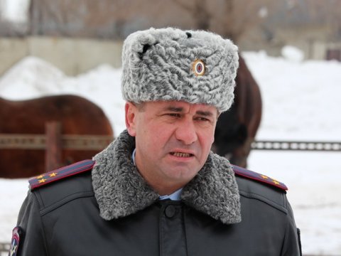 Чепурной: Истощенные лошади сняты с баланса МВД России 