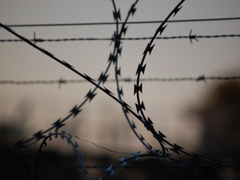 Орехъ «посоветовал» российским властям арестовать побольше иностранцев для улучшения инвестиционного климата