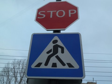 Саратовские полицейские ищут очевидцев ДТП с участием пешеходов