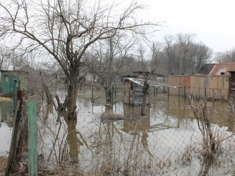 Паводок в Саратовской области. В опасной зоне могут оказаться до 13 тысяч человек