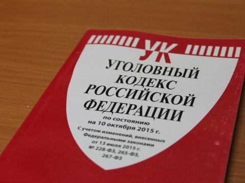 В Пугачеве ремонтник украл из сумочки своей клиентки 250 тысяч рублей