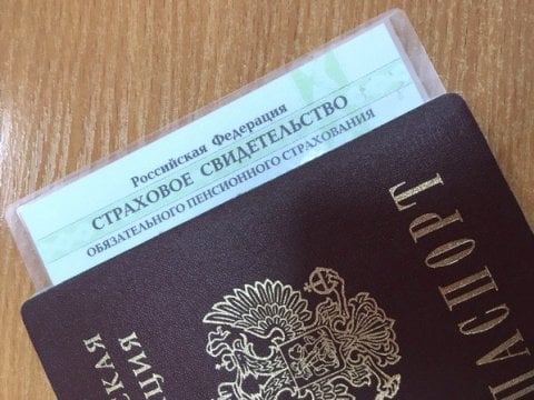 В России перестали выдавать бумажные полисы СНИЛС