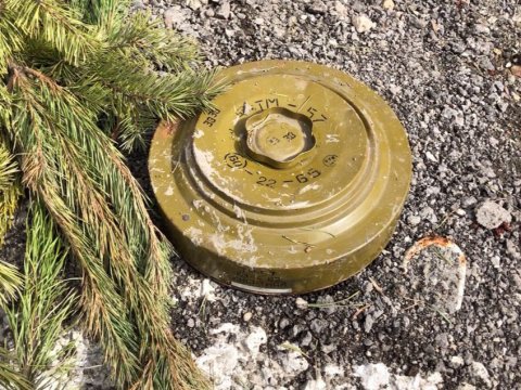 На Кумысной поляне в Саратове нашли противотанковую мину