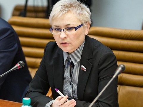 Сенатор Бокова уступила лидерство по доходам Аренину