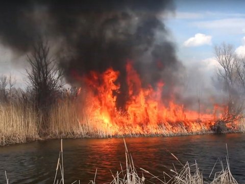 Саратовцы начали весенние поджоги камыша вблизи дач