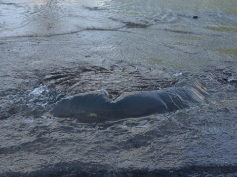 Десятки домов в Саратове до полуночи остались без воды