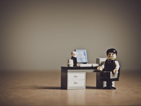ВЦИОМ: Половина россиян не работают по специальности