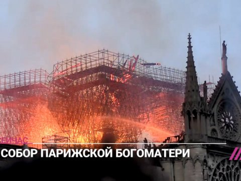 В столице Франции сгорел собор Парижской Богоматери