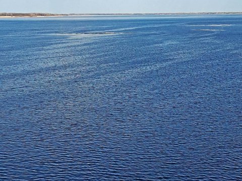 На реках Саратовской области продолжается подъем воды