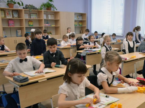 Саратовская полиция не увидела в схеме по приобретению школы «Аврора» поводов для уголовного дела