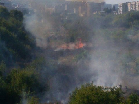 Саратовцев предупредили об опасности весенних палов