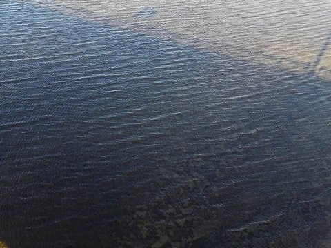 Балашовские спасатели откачали случайно замеченного под водой мужчину