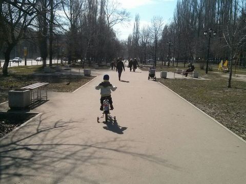 В области сохранится теплая весенняя погода