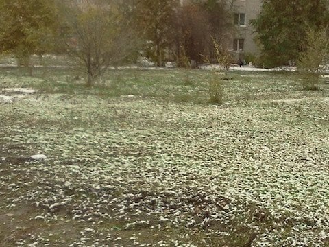 Сегодня ночью местами по области наблюдались заморозки