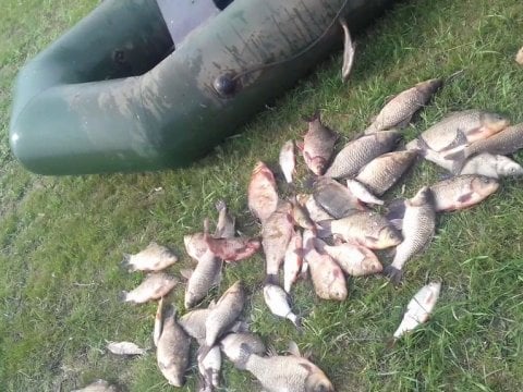 Жителя Питерского района поймали при ловле рыбы двумя 70-метровыми сетями