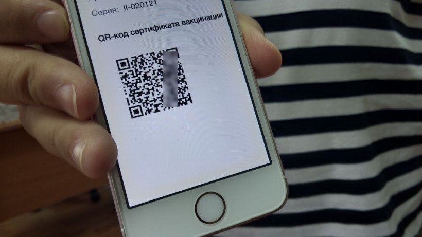Грибов: Систему QR-кодов в Саратовской области введут с 25 октября