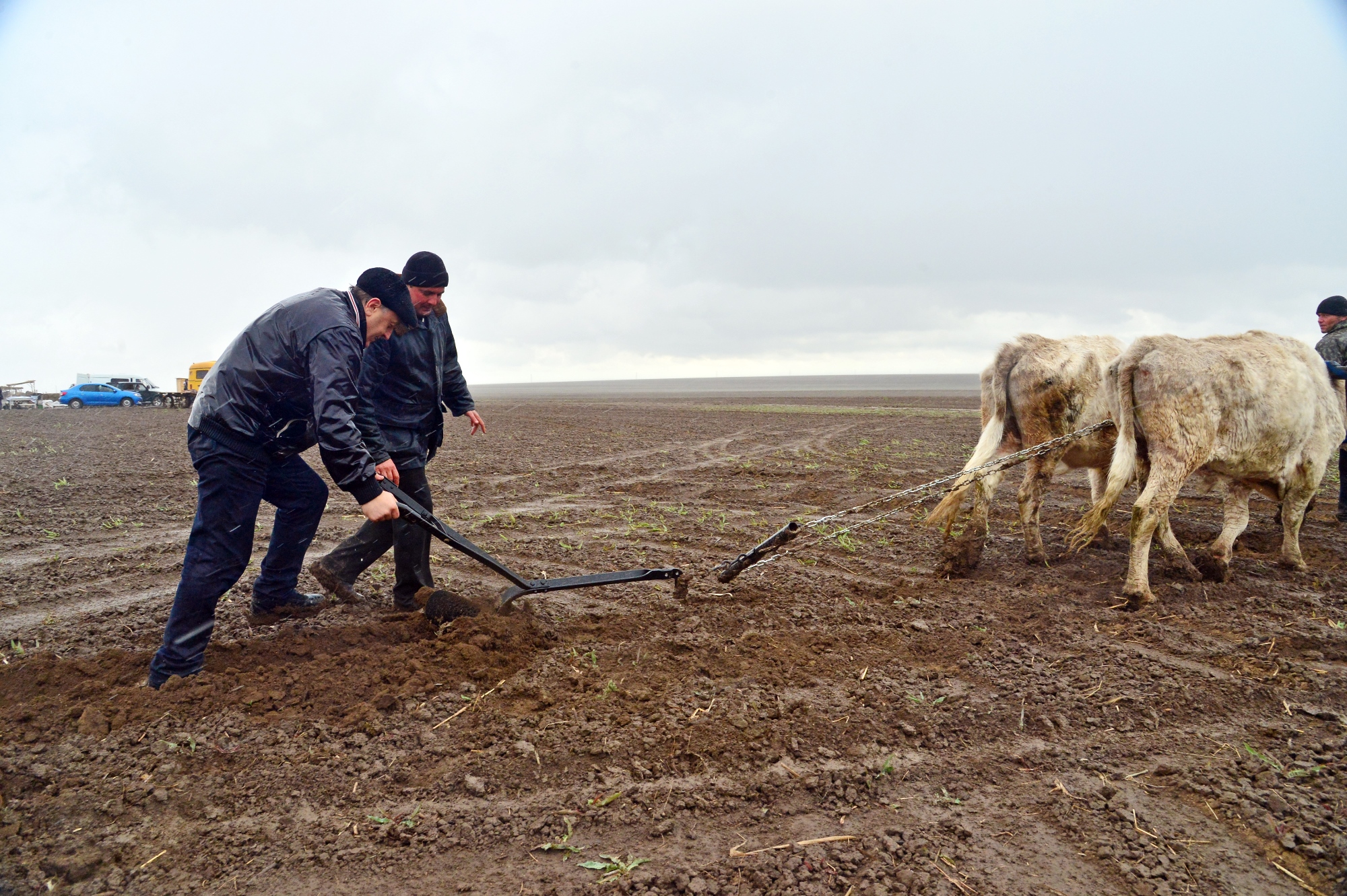 Радаев отказался от праймериз «Единой России». Он займется сельским хозяйством