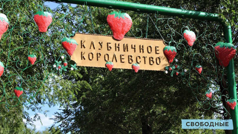 Ягода будет. Организаторы фестиваля клубники в Балакове раскрыли подробности праздника