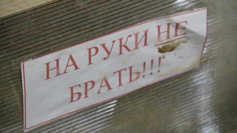 Из-за оспы саратовский министр призвал воздержаться от контактов с обезьянами