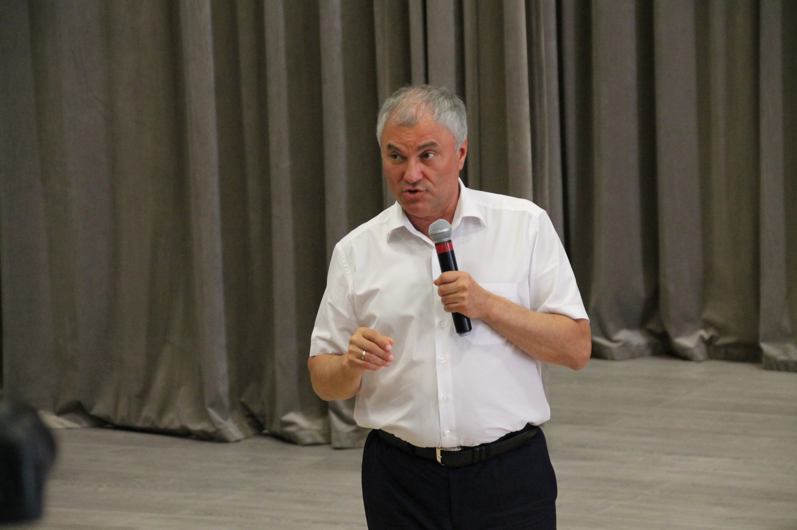Володин: В Гагаринском районе земли принадлежат 4-5 семьям