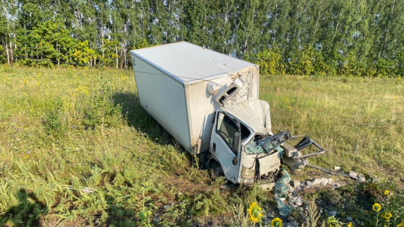 На трассе в Саратовской области водитель грузовика съехал с дороги и врезался в столб