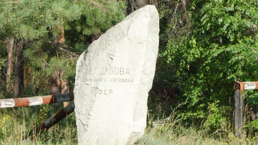 В Базарно-Карабулакском районе благоустроят дендрарий Дубова