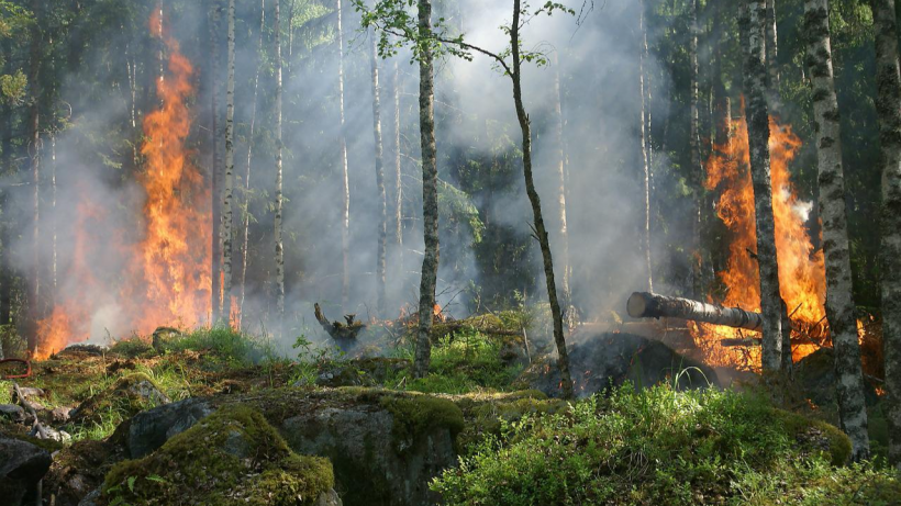 На окраине Саратова горят гектар леса и трава