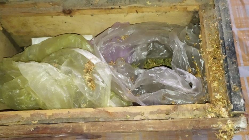 Житель Духовницкого района прятал во дворе коробки с марихуаной