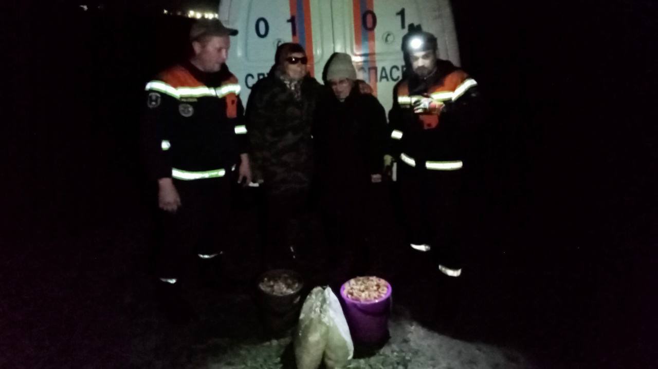 В лесу под Аткарском потерялись две женщины. Спасатели нашли их за два часа