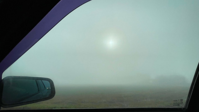 Из-за тумана в Саратовской области объявлен желтый уровень опасности