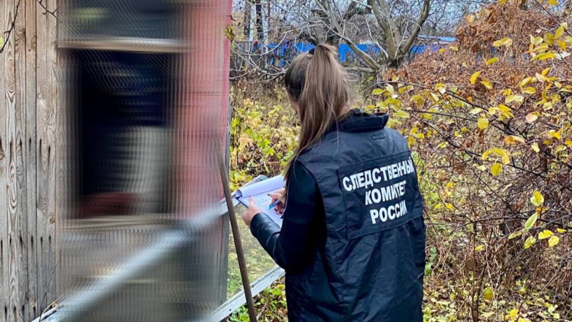 В дачном домике в Саратове женщина нашла труп соседа