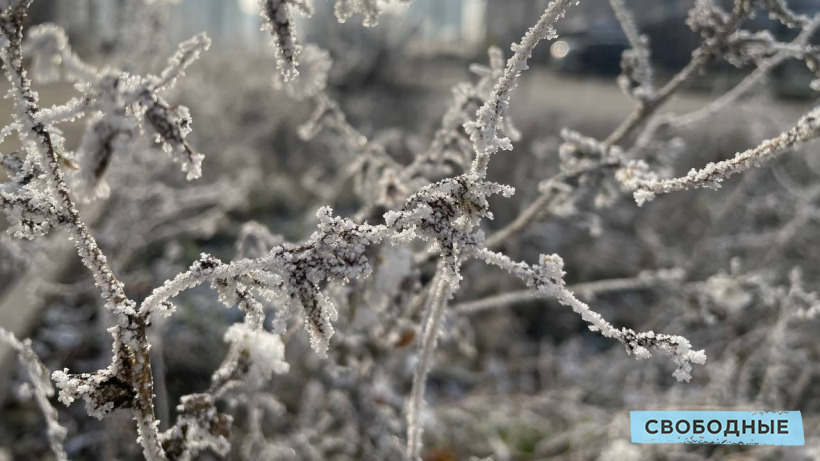МЧС: На Рождество саратовцев ожидает мороз до -30 градусов