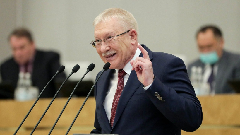 Депутат Госдумы предложил ограничить россиянам въезд в страну за подрывную деятельность