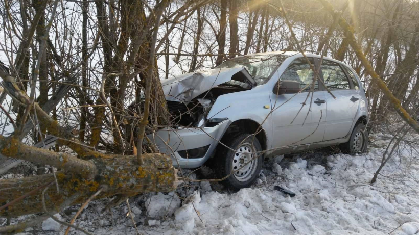 Машина вылетела в кювет и врезалась в дерево. ГИБДД привела подробности ДТП на трассе в Пугачевском районе