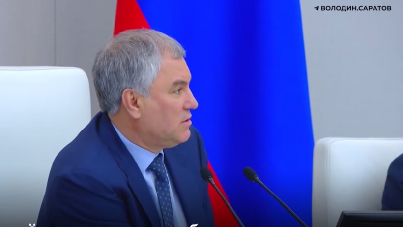 Володина возмутила раздача водной глади частникам в городской черте