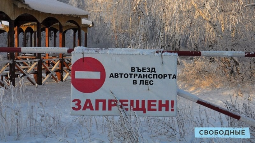 Заболеваемость выросла втрое. Саратовский Роспотребнадзор предупредил о высоком риске осложнения ситуации с мышиной лихорадкой