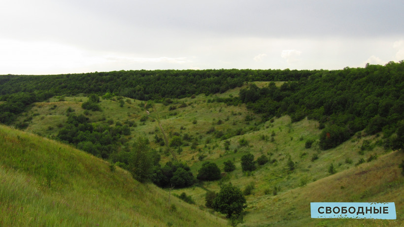 В Саратовской области два дня будут учиться тушить лес
