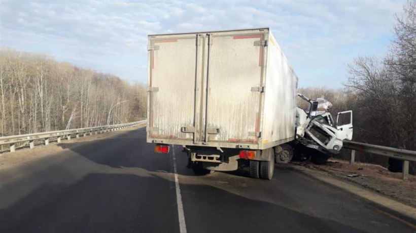 Два человека пострадали при столкновении грузовиков на трассе в Татищевском районе