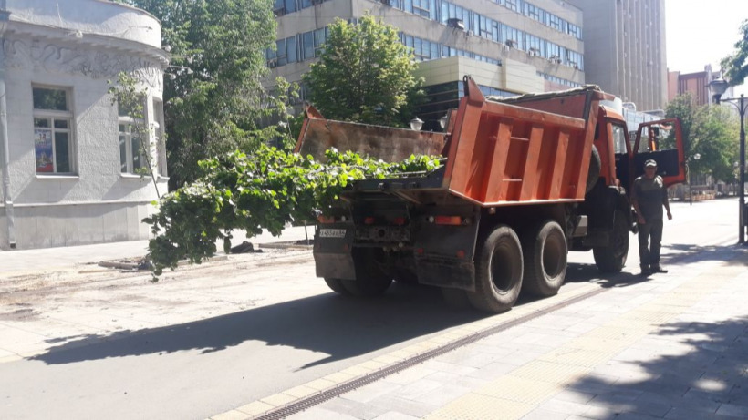 На Волжской в Саратове началась очередная замена деревьев