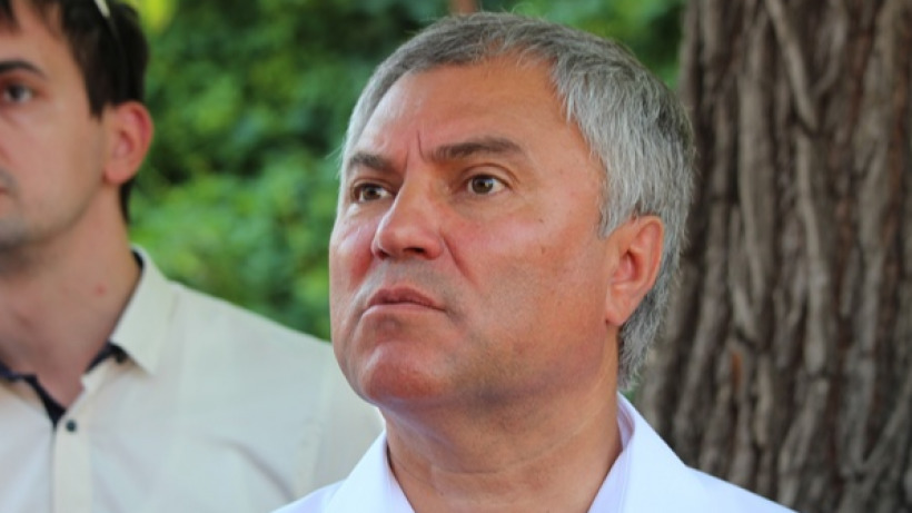 Спикер Госдумы пообещал вникнуть в уголовное дело журналиста Ивана Голунова
