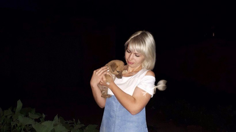 Пугачевские спасатели вызволили щенка из заброшенного погреба