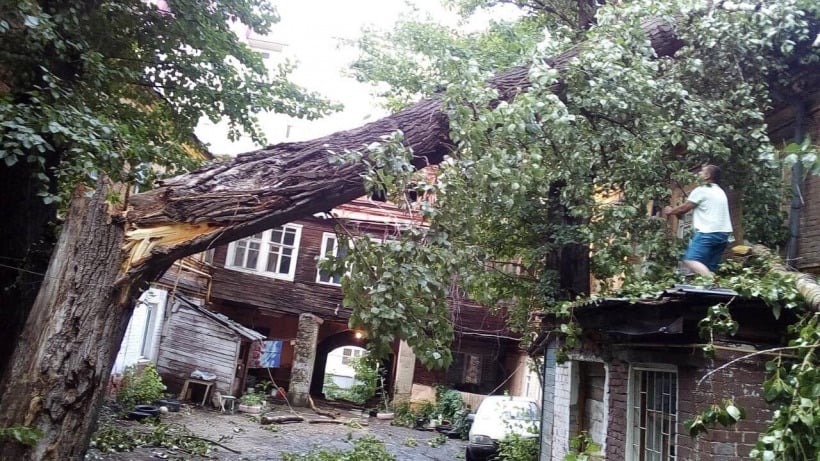 Гроза в Саратове. Деревья падали на дома, коммуникации и автомобили