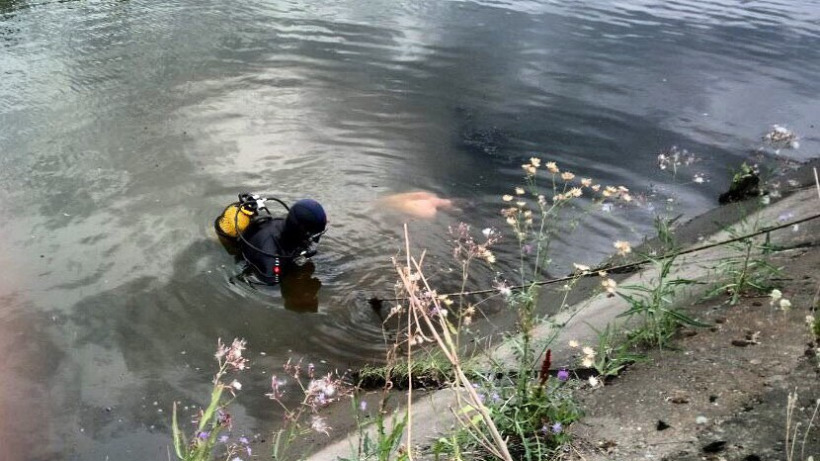 В Энгельсском районе утонул пожилой дачник