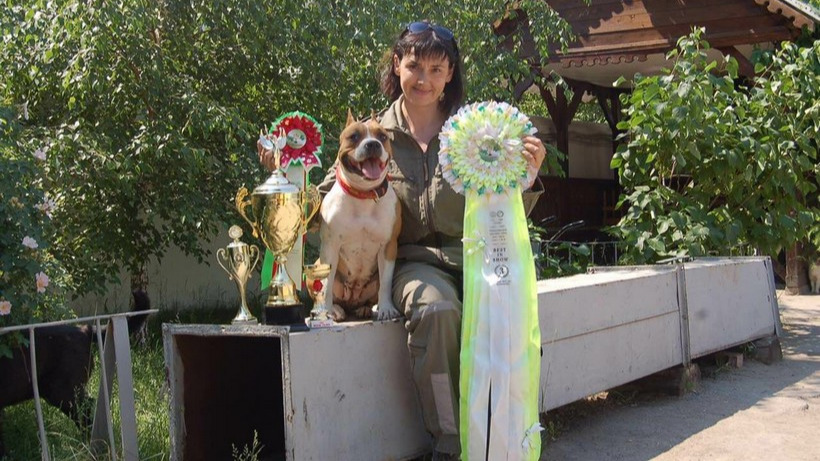 Стафф Чили из саратовского облспаса стала второй на соревнованиях поисковых собак