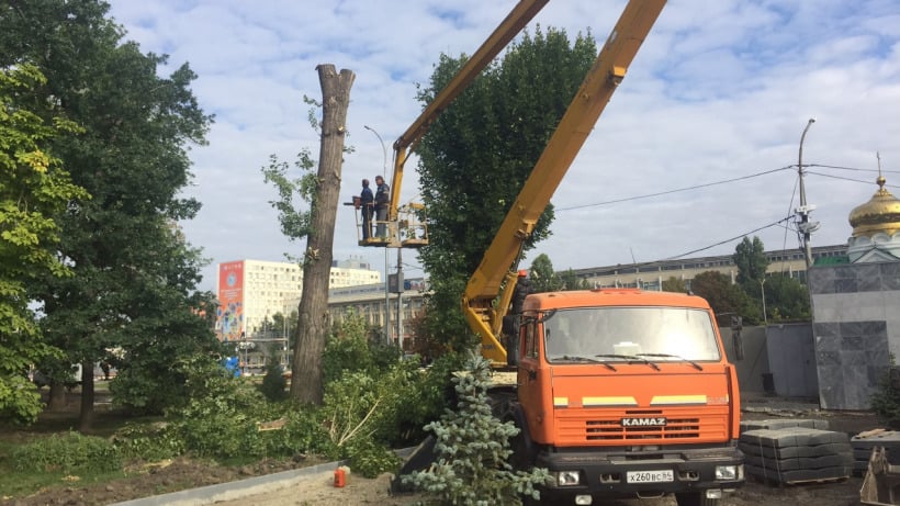 На Театральной площади завершают «реконструкционный» снос деревьев