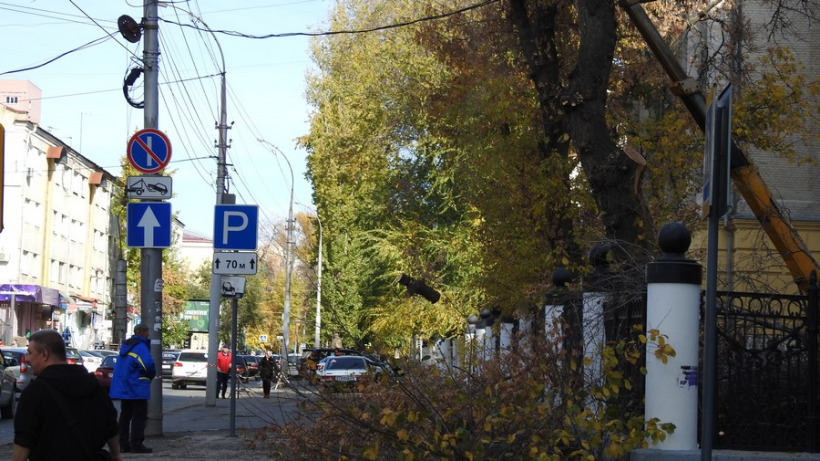 В университетском городке СГУ пилят деревья