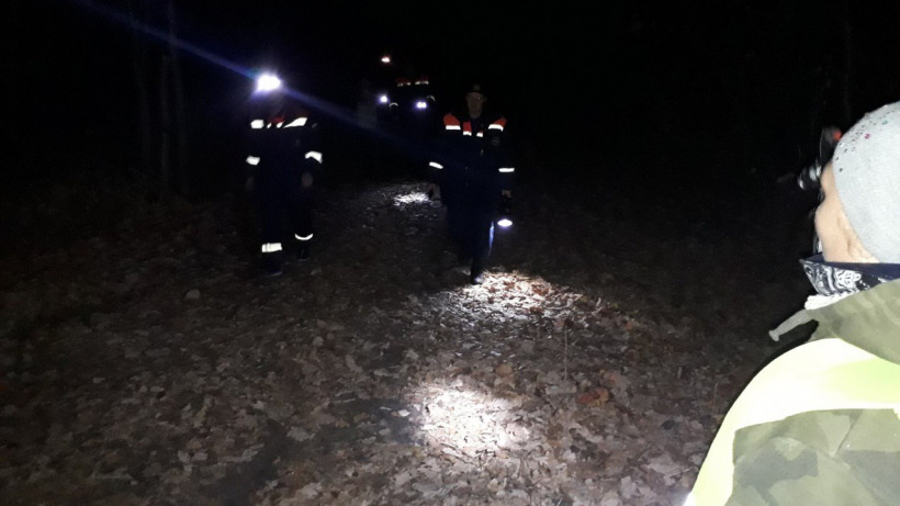 Пугачевские спасатели разыскали в лесу испугавшуюся кабанов собирательницу грибов