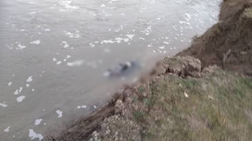 В Ершовском районе из реки выловили труп женщины