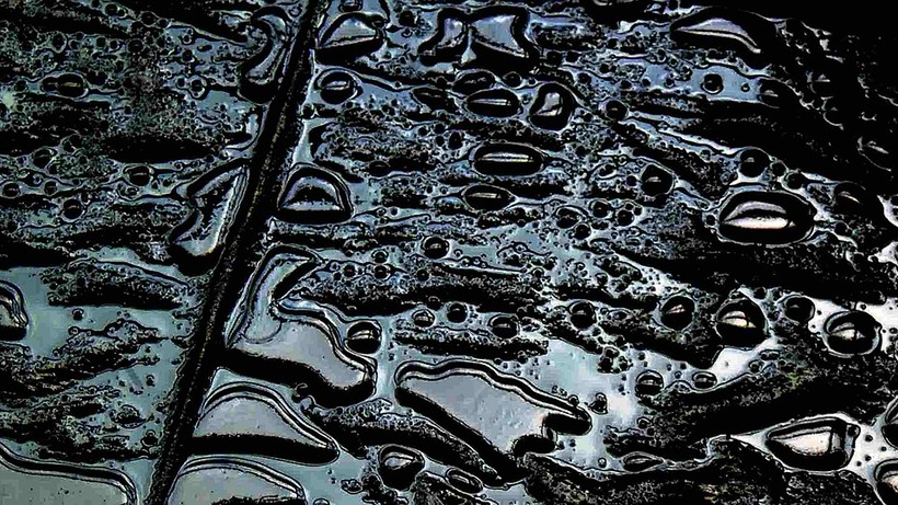 После загрязнения почвы эмульсией из нефтепровода под Калининском расследуется уголовное дело